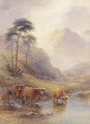unknow artist Highland cattle in a stream painting